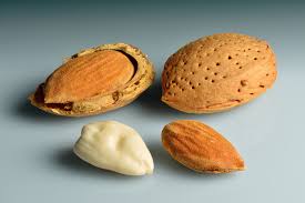Almond shell , chilke wali badam,