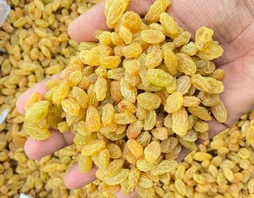 प्रीमियम किशमिश – 1 किलो – ₹499