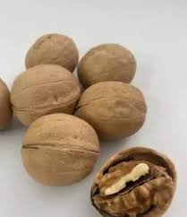 चाइनीज़ अखरोट – प्रीमियम क्वालिटी 🥮

💰 दाम: 1 किलो – ₹499