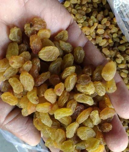 किशमिश – 1 किलो – ₹450